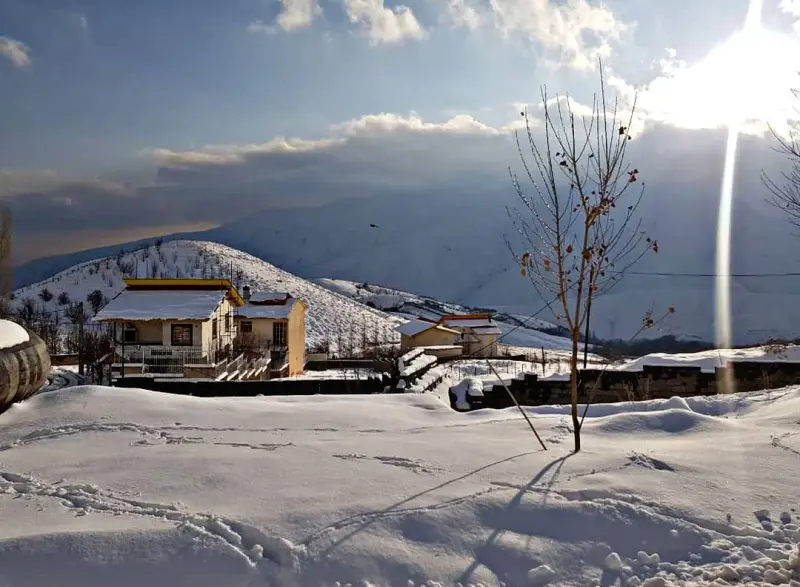 روستای راحت آباد - تصویر 2