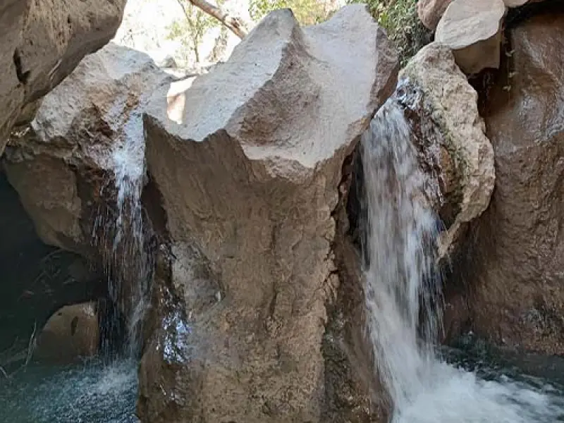 چال ماهی تهران - تصویر 6