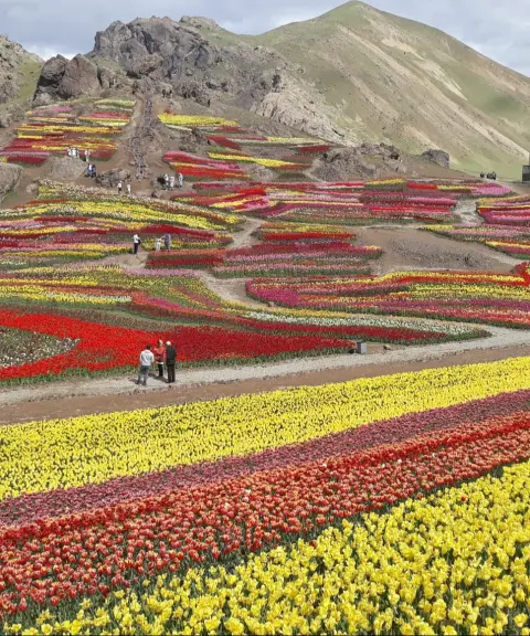 روستای کندر، البرز