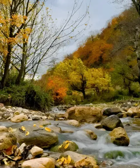 تنگه چهل چای، گلستان