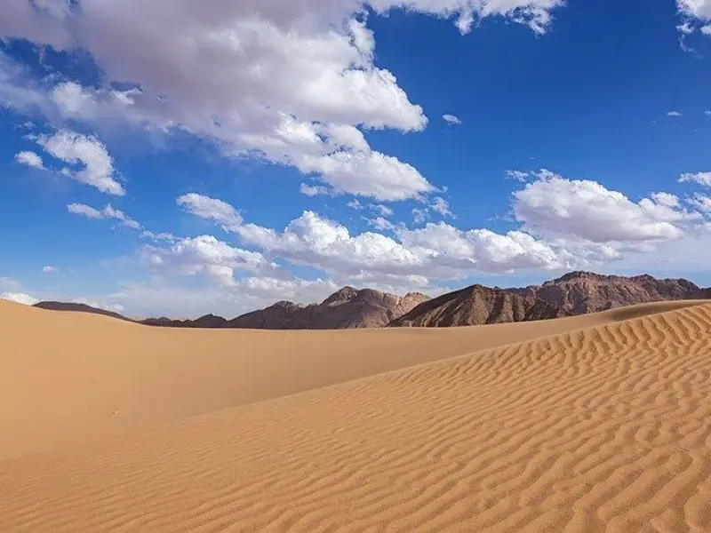 کویر دو شاخ