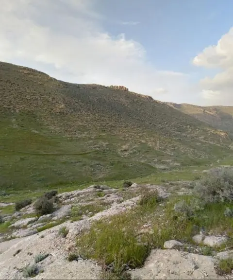 پارک ملی بمو، فارس