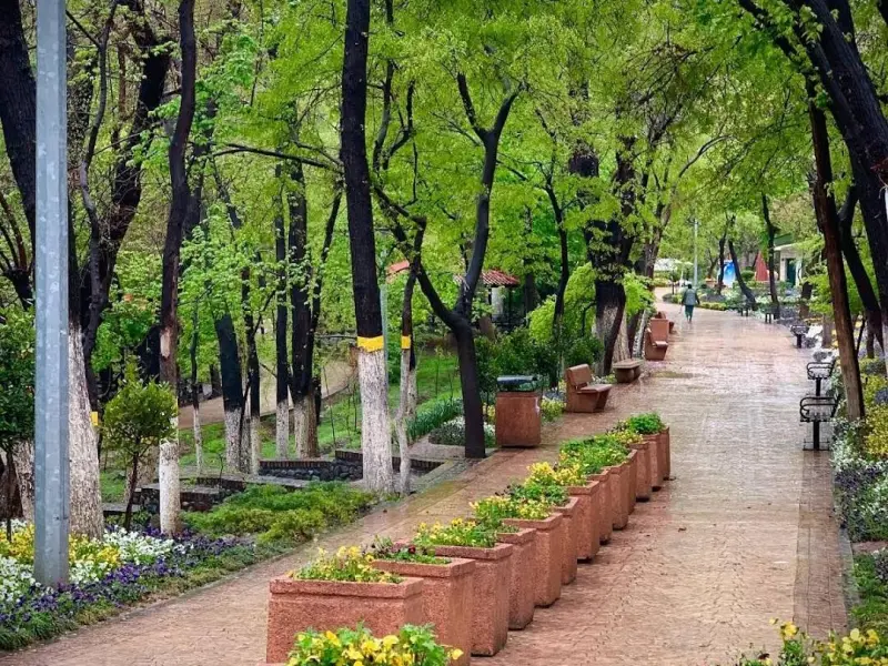 پارک قیطریه - تصویر 8