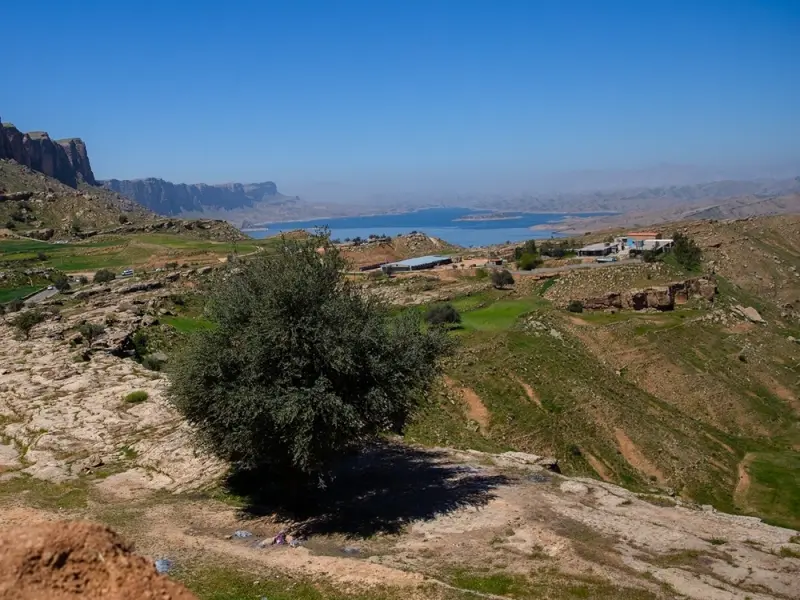 روستای پامنار