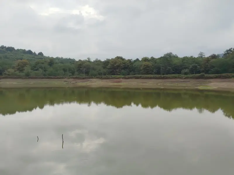 دریاچه پسکوت - تصویر 4