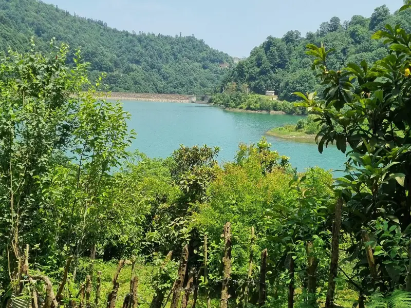 دریاچه سد میجران - تصویر 6