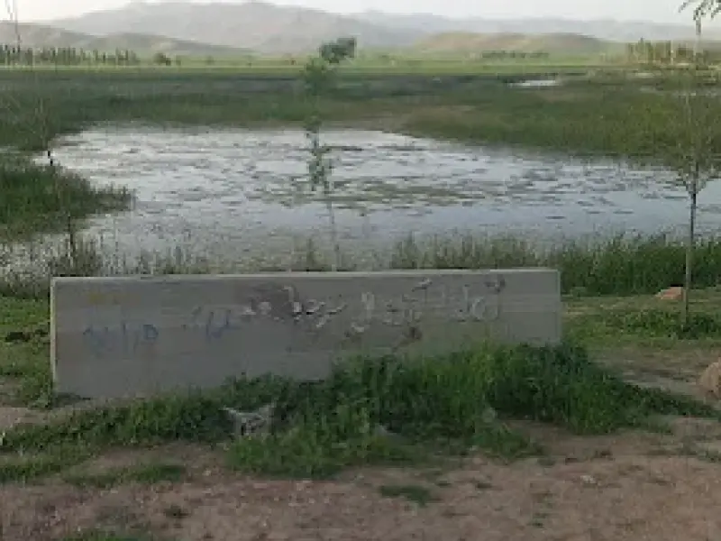 تالاب پيرسليمان - تصویر 5