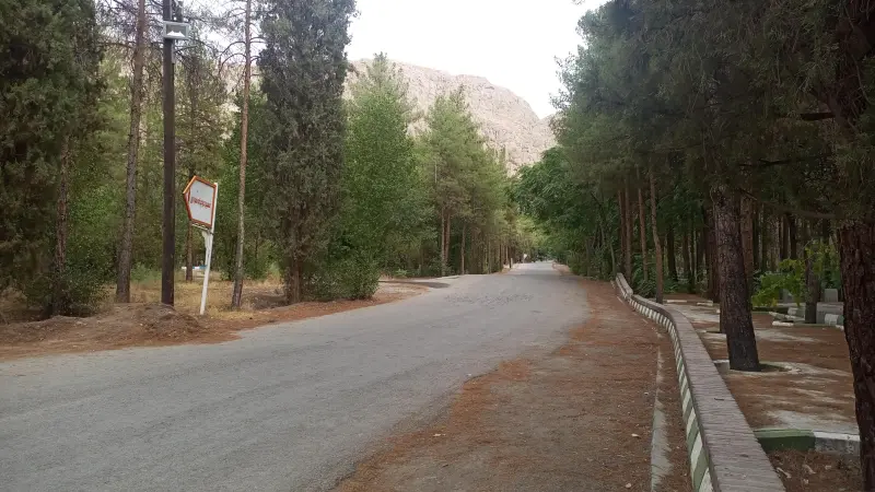 جنگل پردیسان قائم - تصویر 2