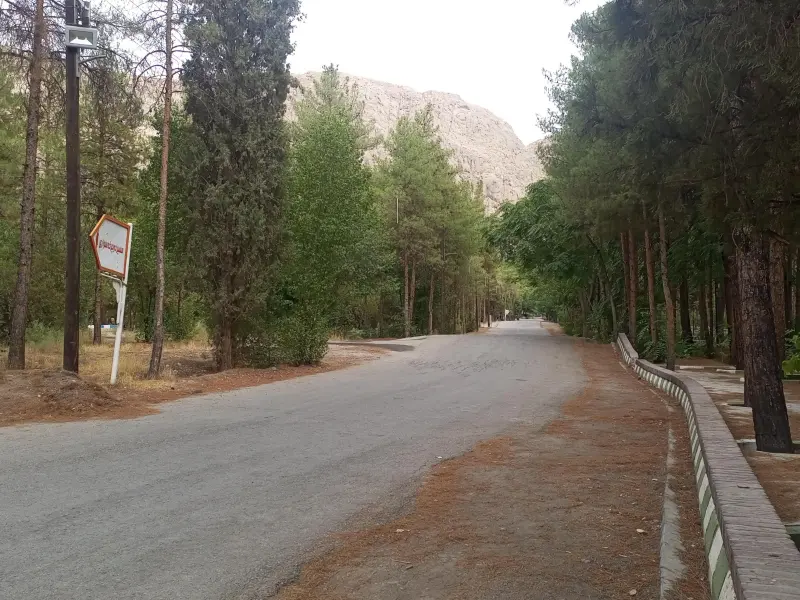 جنگل پردیسان قائم - تصویر 2