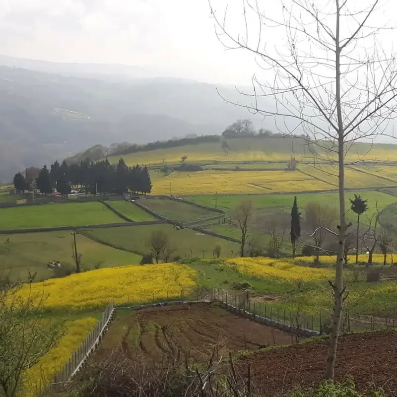 روستای تاکام - تصویر 5
