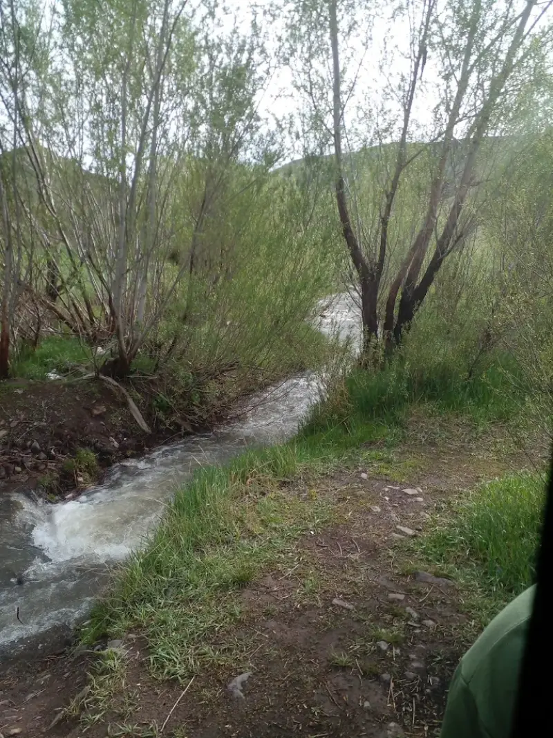 آبشار شیران - تصویر 9