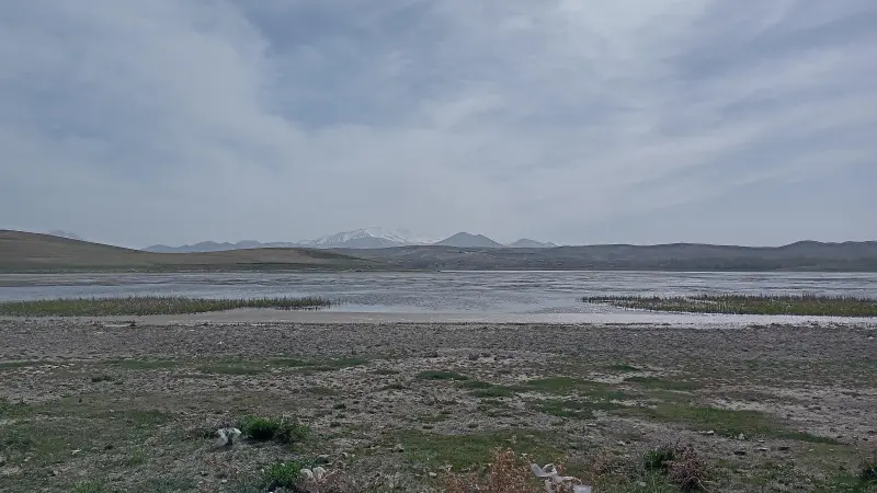 تالاب قوری‌ گل - تصویر 4