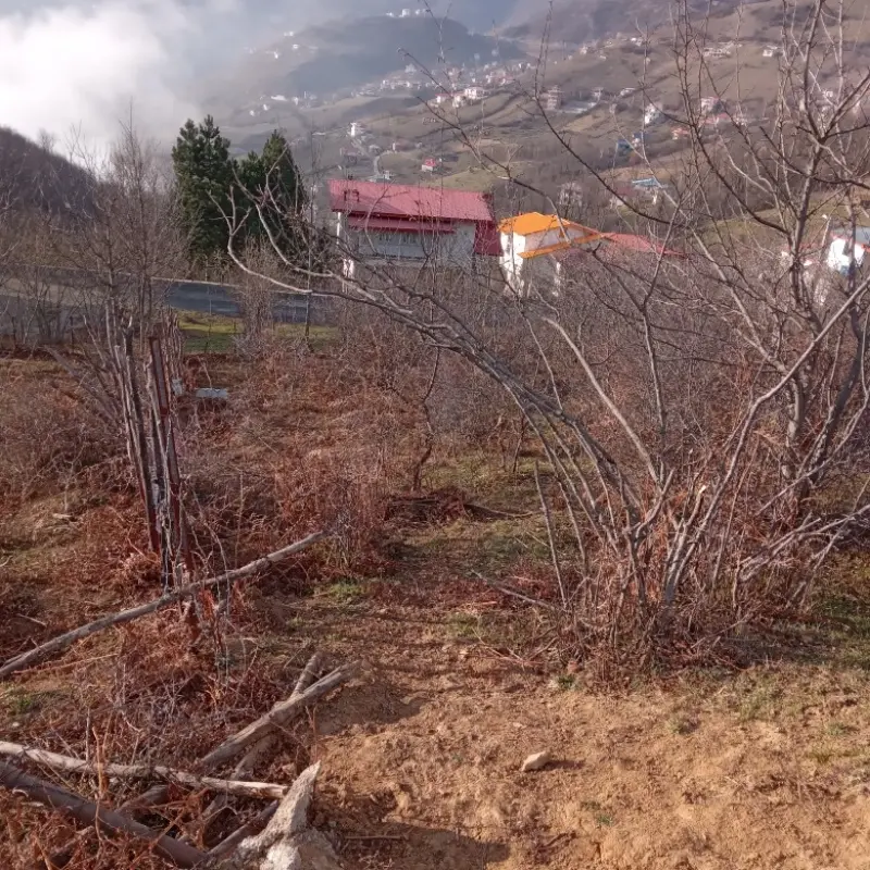 روستای ولنگان - تصویر 1