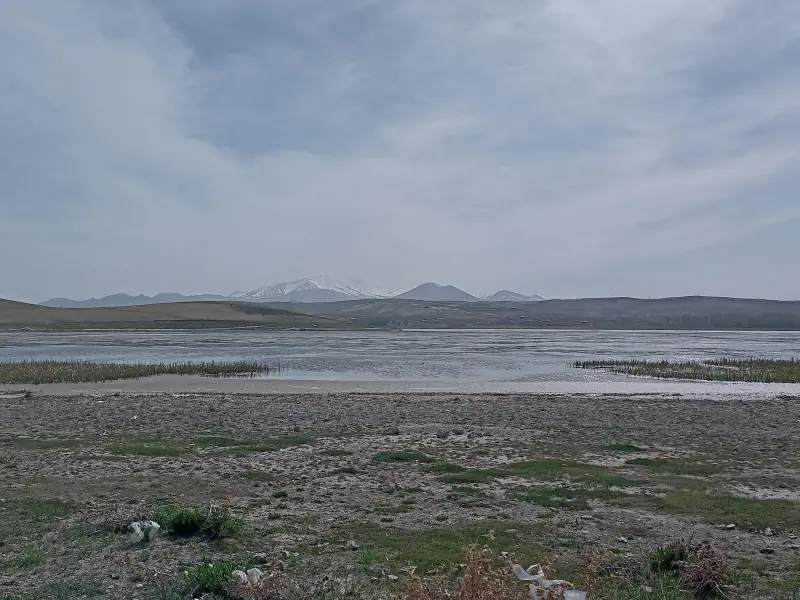 تالاب قوری‌ گل - تصویر 4