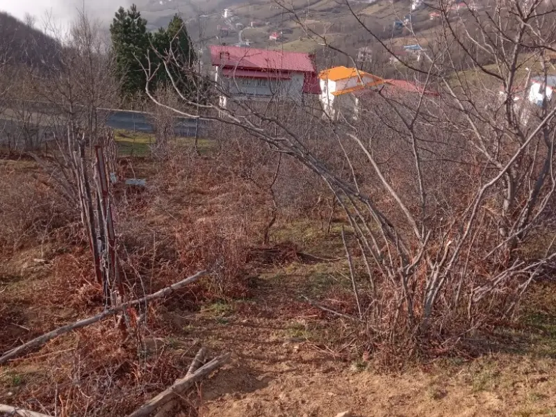 روستای ولنگان - تصویر 1