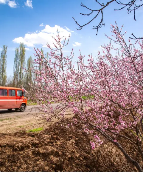 باغستان سنتی قزوین، قزوین