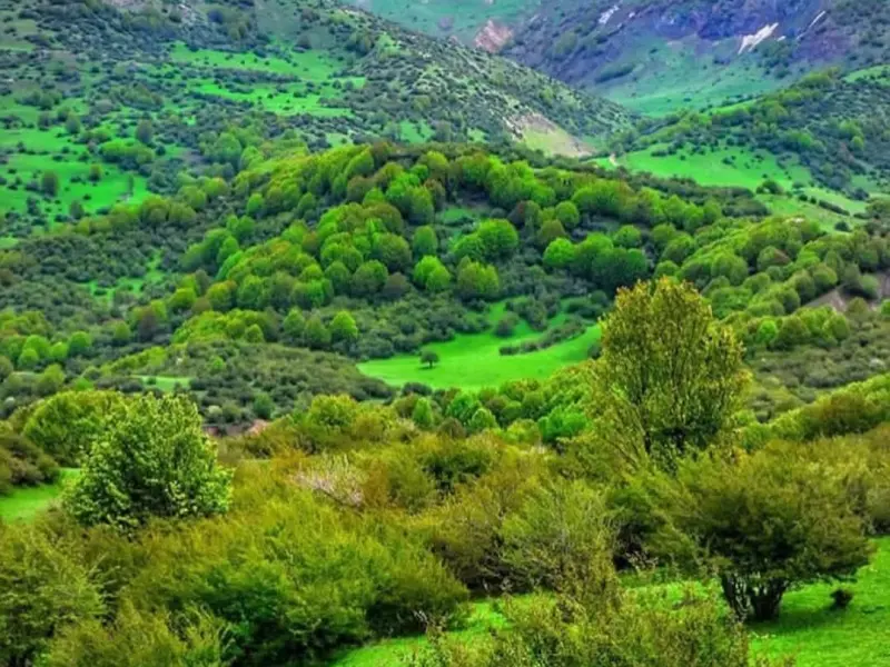 روستای داماش - تصویر 4