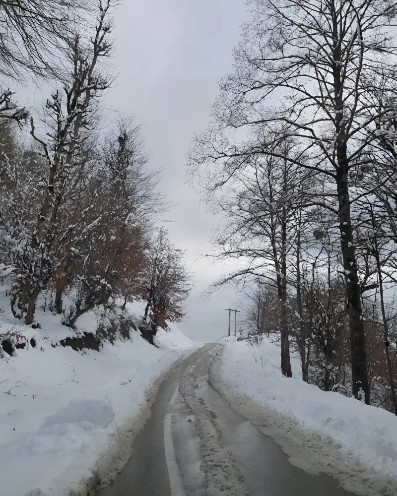 روستای بجدم - تصویر 5