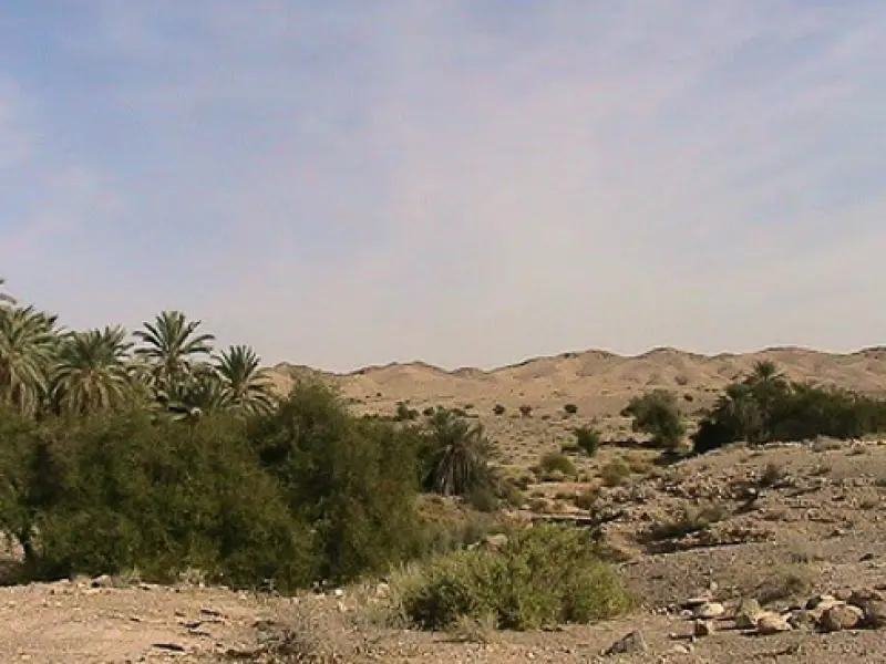 منطقه حفاظت‌شده هرمود - تصویر 3