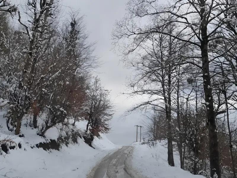 روستای بجدم - تصویر 5