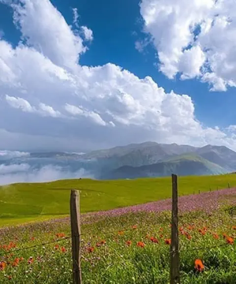 شکردشت، گیلان