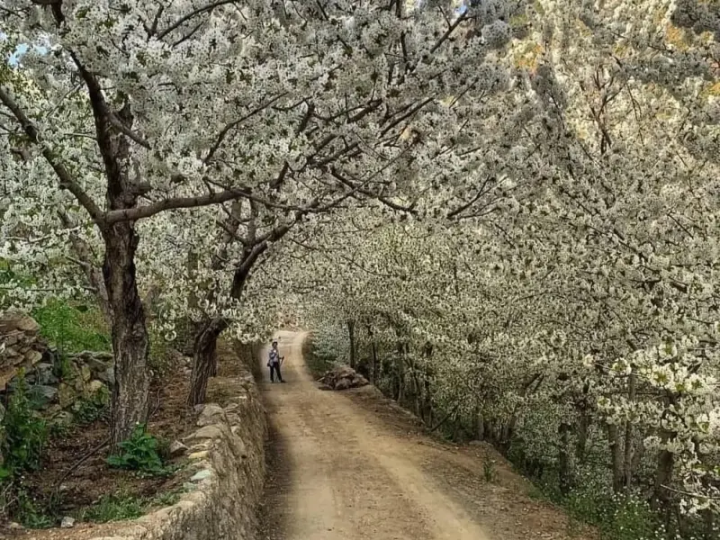 روستای سنگان - تصویر 4