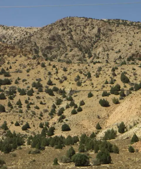منطقه حفاظت‌شده بزمان، سیستان وبلوچستان