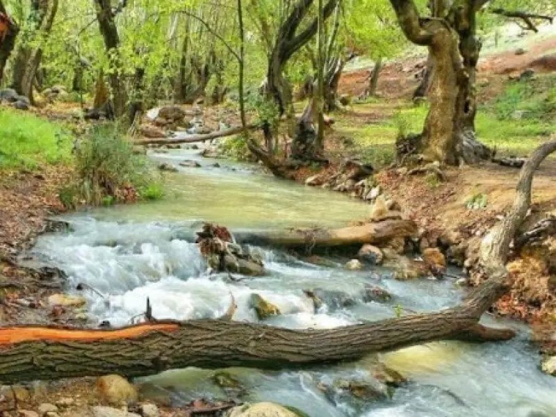 تنگ غوره دان - تصویر 4