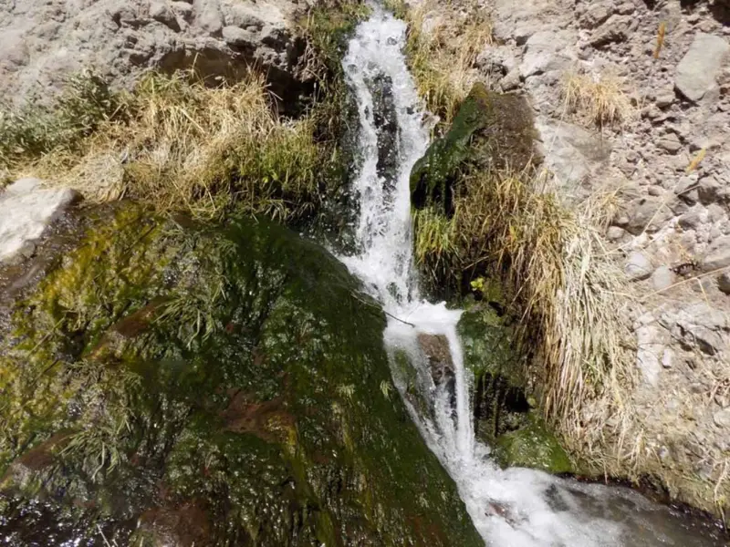 چشمه آب معدنی موسی