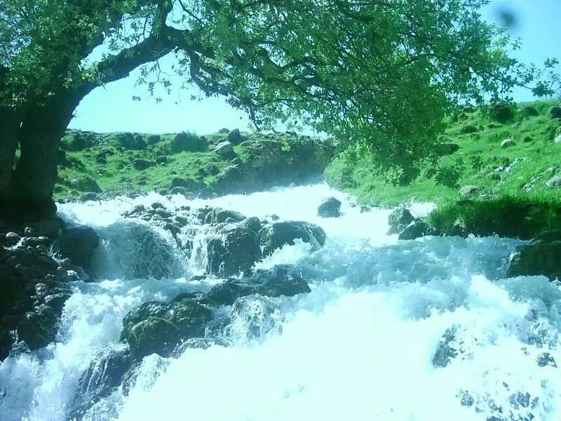 تنگ هرایرز - تصویر 5