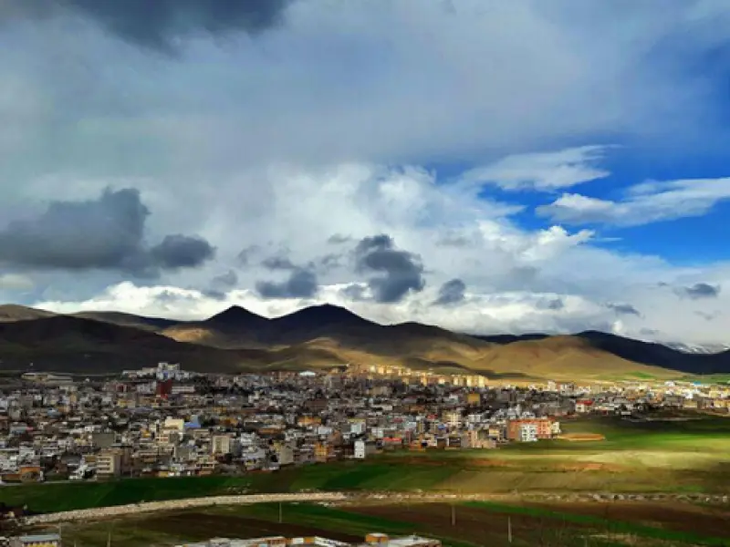 قالی کوه - تصویر 4