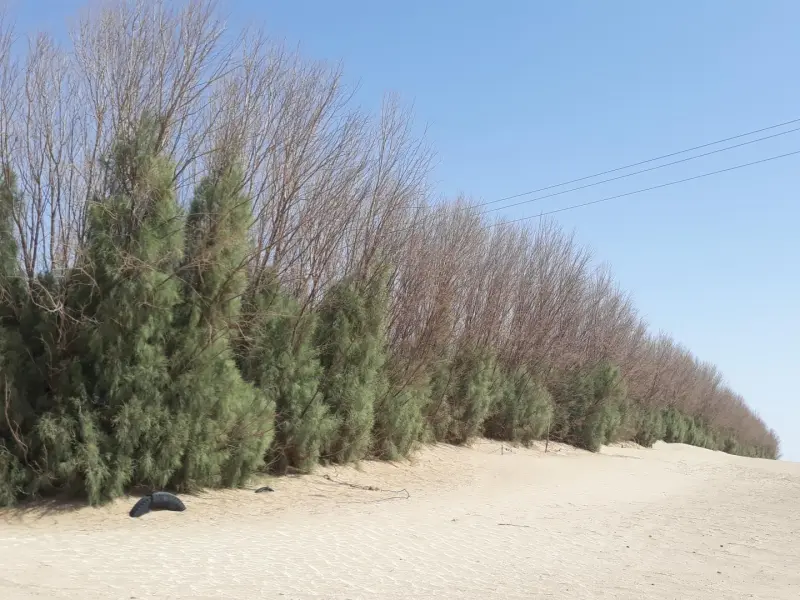 کویر بشرویه - تصویر 4
