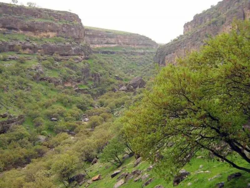 تنگ زنجیره - تصویر 1