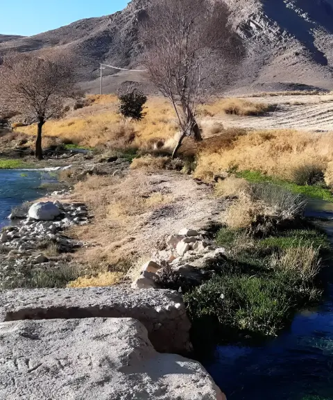 روستای همگین، اصفهان