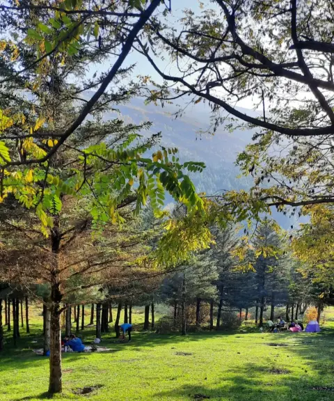 بوستان جنگلی صیقل محله، مازندران