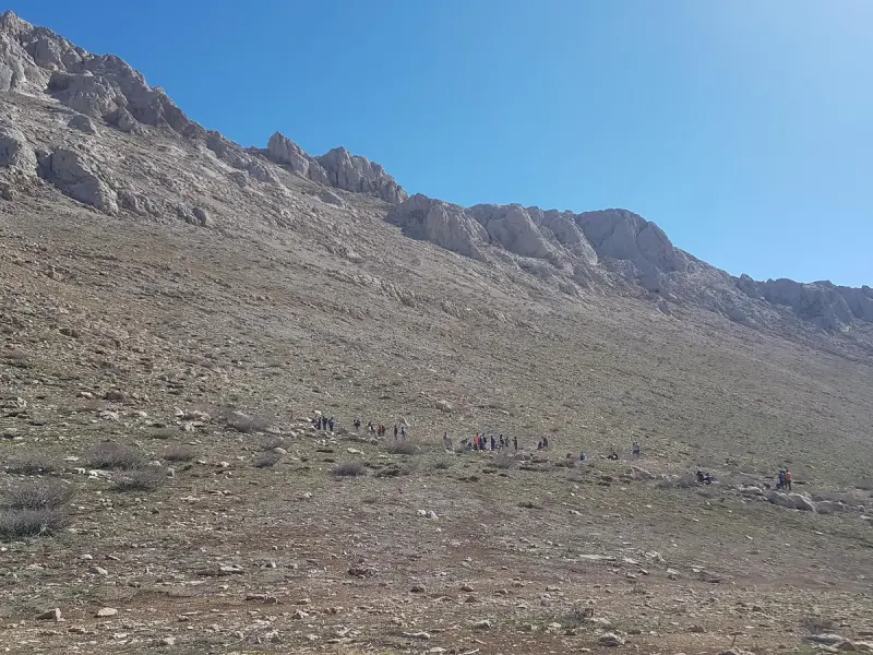 قله یافته - تصویر 4