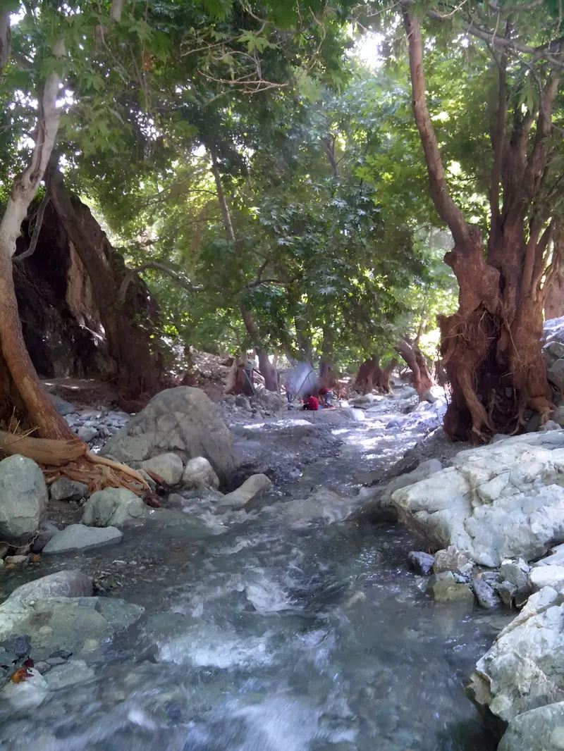 روستای دلفارد - تصویر 2