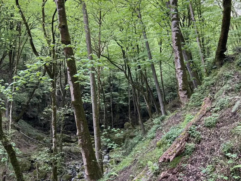 قله سه گیتی - تصویر 1