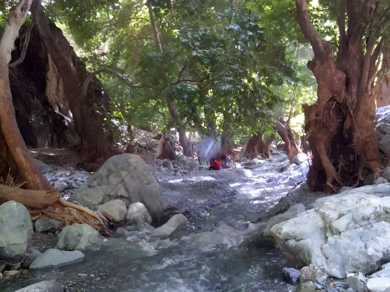 روستای دلفارد - تصویر 2