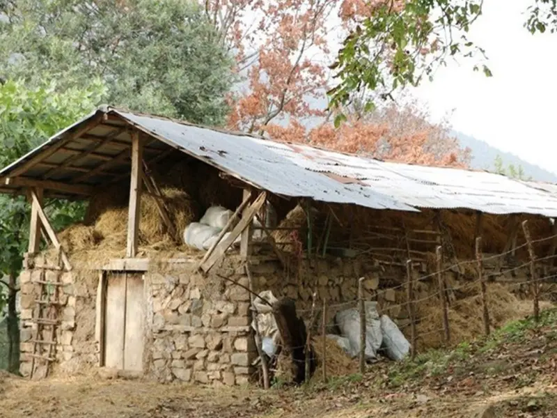 روستای گالشکلا - تصویر 2