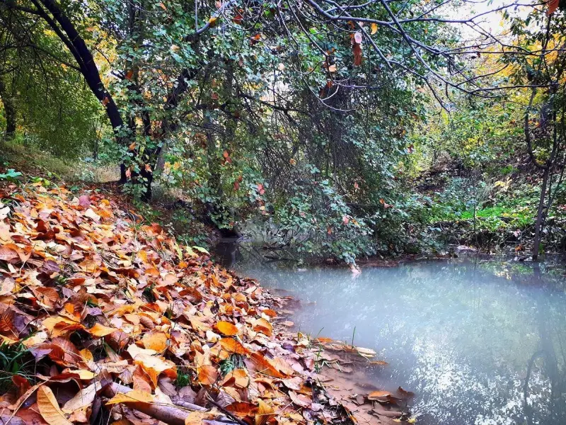 سرآب قنبر - تصویر 2