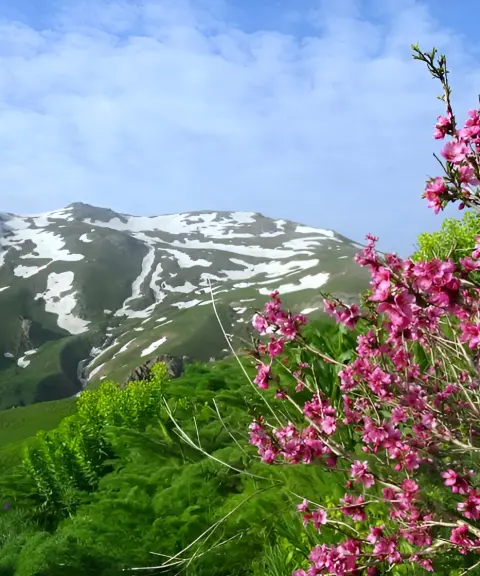 کوه چهل چشمه، کردستان