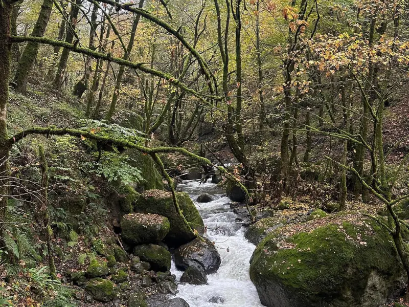 آبشار موتالان - تصویر 2