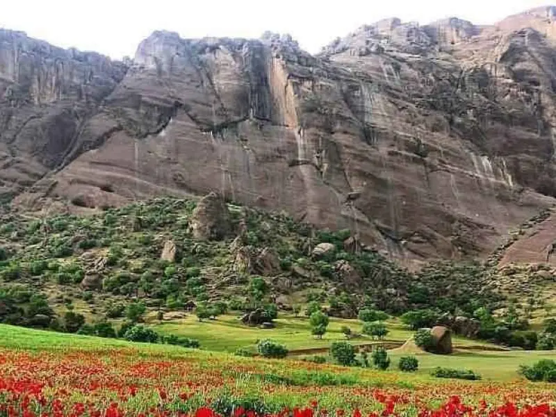 تنگه شبیخون - تصویر 6