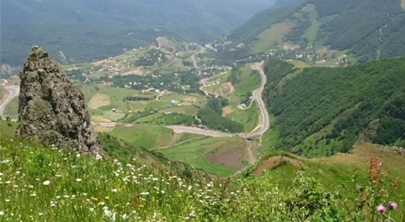 جنگل بناب ارسنجان - تصویر 2