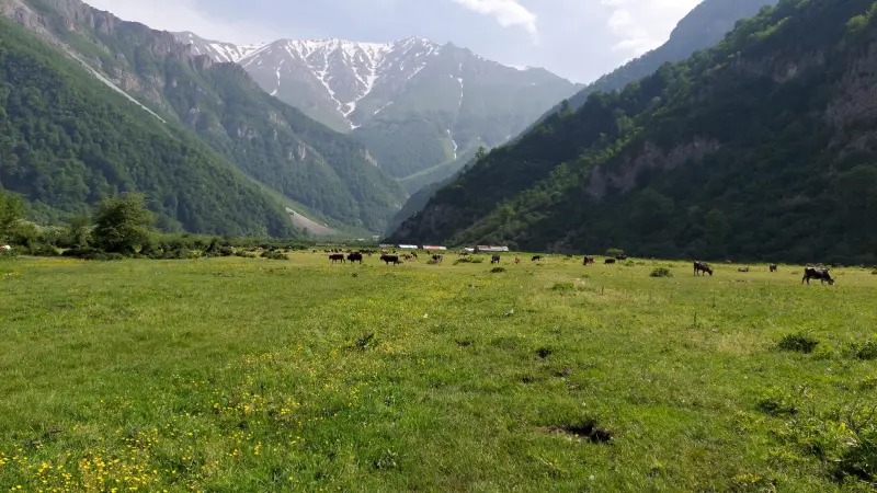 دشت دریاسر - تصویر 2