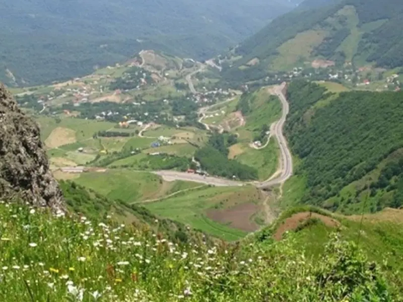 جنگل بناب ارسنجان - تصویر 2