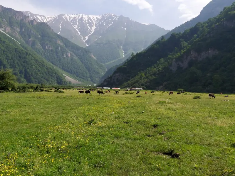 دشت دریاسر - تصویر 2