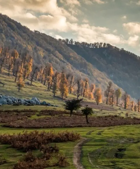 دشت مرکوه، گلستان