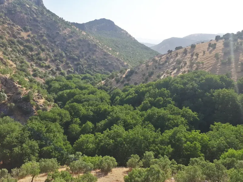 روستای شبانکاره - تصویر 1